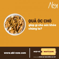 Quả Óc chó giúp gì cho sức khỏe chúng ta? | ABI NOW | Hạt Dinh Dưỡng Cao Cấp