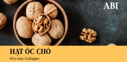 HẠT ÓC CHÓ - KHO BÁU COLLAGEN