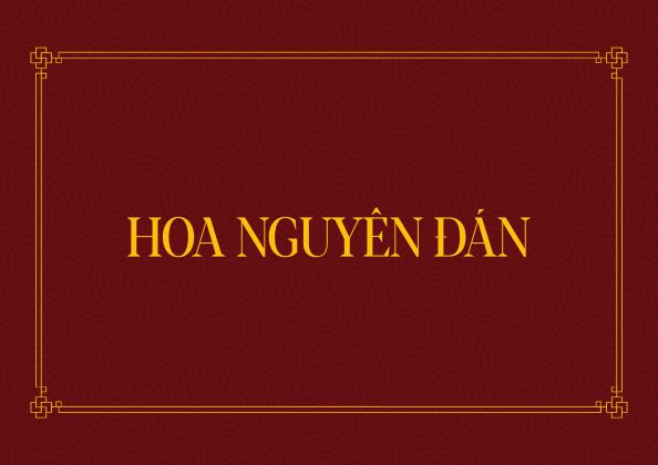 brochure hoanguyendan finalartboard 1 1