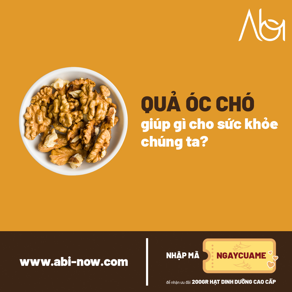 Quả Óc chó giúp gì cho sức khỏe chúng ta? | ABI NOW | Hạt Dinh Dưỡng Cao Cấp