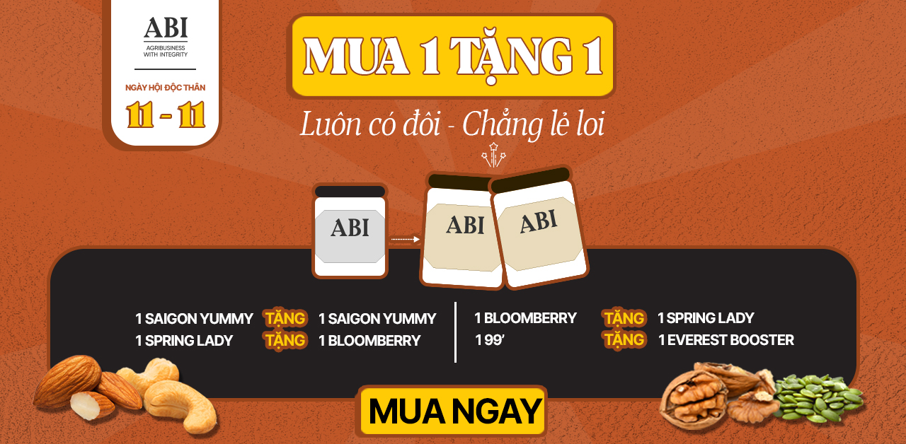 MUA 1 TẶNG 1 I ĐẠI TIỆC ĐỘC THÂN I ABINOW I  HẠT DINH DƯỠNG CAO CẤP